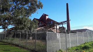 Abandoned Box Hill Brickworks - 2020 Update