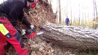Cutting an uprooted tree - Jonsered 2045
