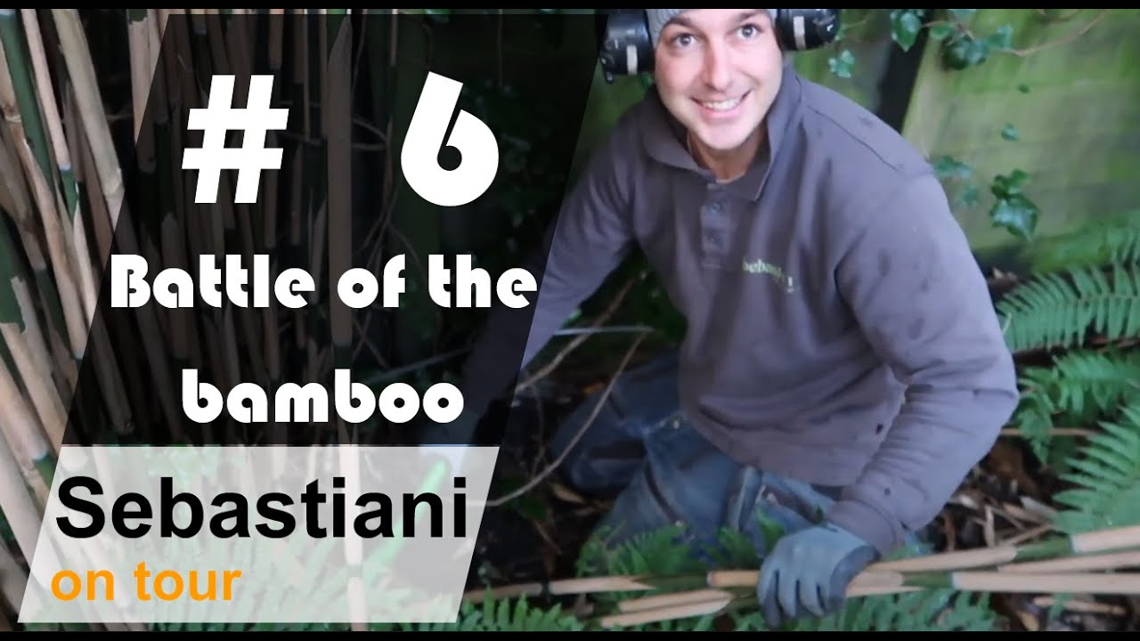 Battle of the bamboo SEBASTIANI ON TOUR 6 YouTube