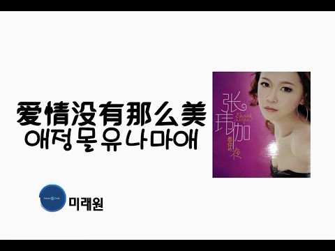 [중국노래]한글가사/해석/자막/병음 장위가(张玮伽)의 애정몰유나마미(爱情没有那么美)