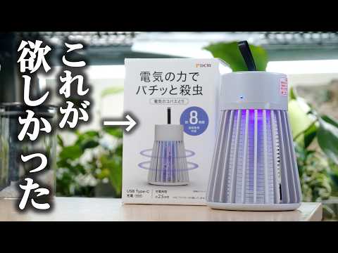 観葉植物のキノコバエを蚊取り線香で駆除！たった3ステップで大成功した方法