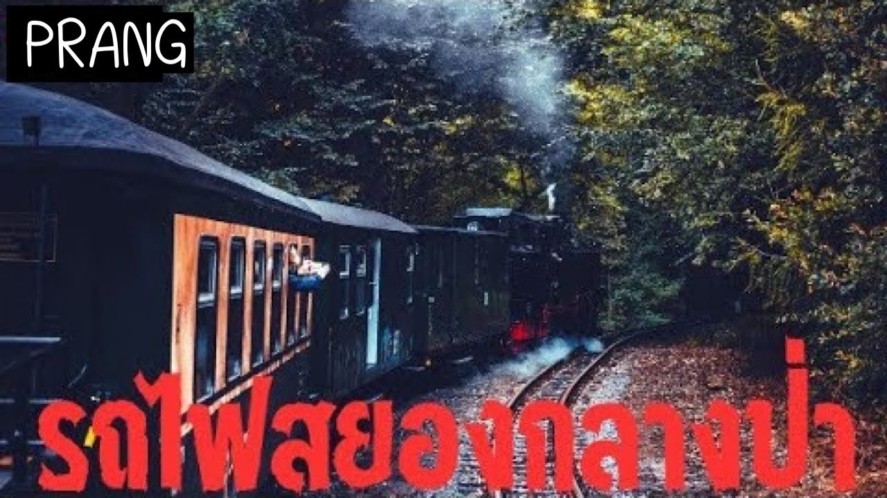 เล่าเรื่องผี | รถไฟสยองกลางป่า
