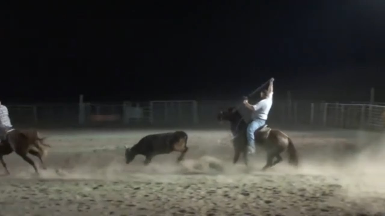 Roping Videos from the Vault YouTube