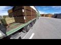 Asigurare lemne Belgia