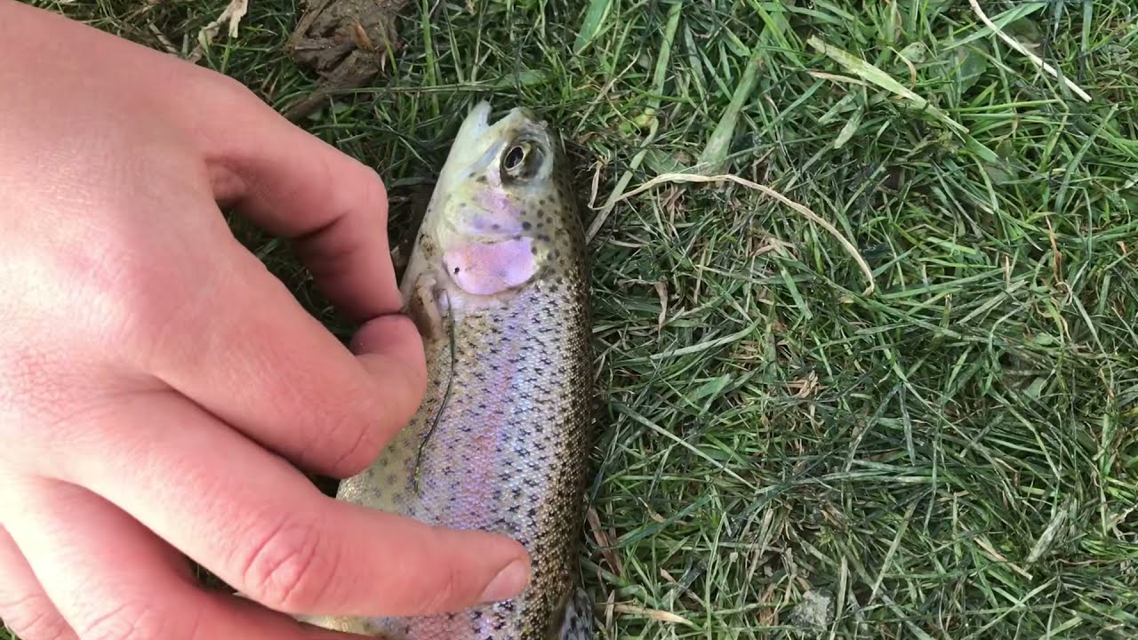 Opening day trout fishing. York Pennsylvania 2021