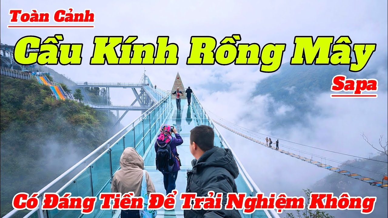 Toàn cảnh Cầu Kính Rồng Mây Sapa 2026 | Hướng Dẫn Tham Quan Và Giá Vé Mới Nhất