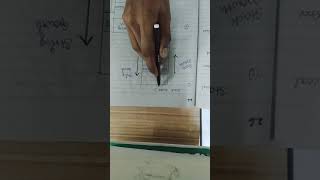 Stack guard and Canary in detail in hindi