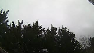 IMG 0317