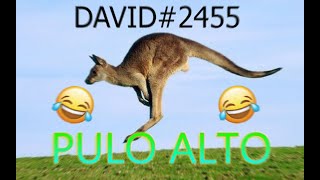 TRANSFORMICE - alert pulo david#2455 - EXPOSED