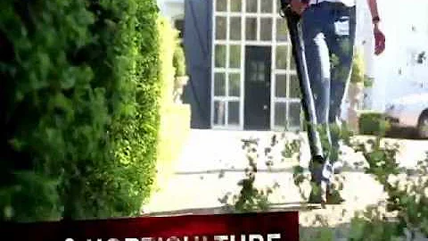 Hitachi Power Tools Pedigree from Power Tools UK