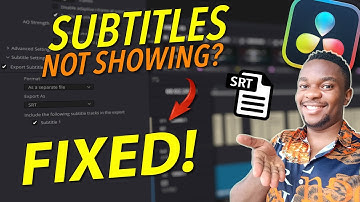 DaVinci Resolve  .SRT Export Fix  - The Real Reason Your Subtitles Don’t Show in Videos