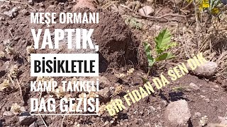 Takkeli Dağa Tırmanış, Meşe Ormanı Yaptık, Bir Fidan Dik, Şifalı Su, Kekik Topladık, Zehirli Bitki
