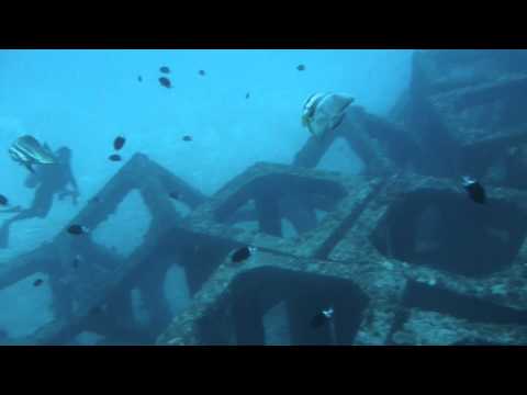 2011年7月　座間味　佐久原漁礁