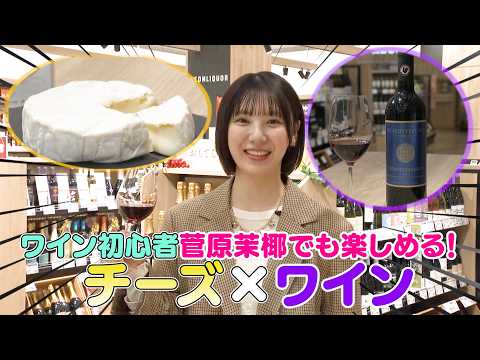 [Pairing] Discovering wines that pair well with cheese! [Maya Sugawara]