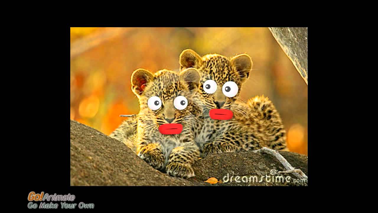 The Two Talking Leopards - YouTube