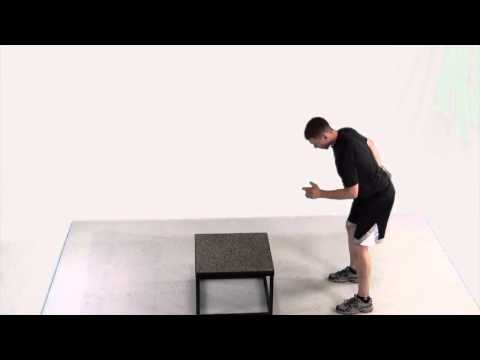 Plyo Squat Jumps