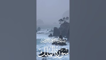 Peaceful recitation of Surah Mulk (The Kingdom) سورة الملك |Noble Quran Stream #quran #quranrecition