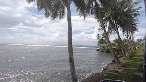 Paala Samoa Family Trip 2019