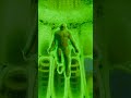 Jumping On A Giant Jelly