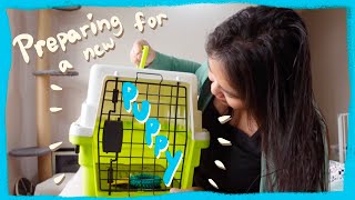 Preparing for my New Toy Poodle Puppy |Winter Series| The Poodle Mom by The Poodle Mom 2,164 views 1 year ago 9 minutes, 33 seconds