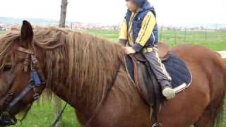 Mateja Jase Konja..avi