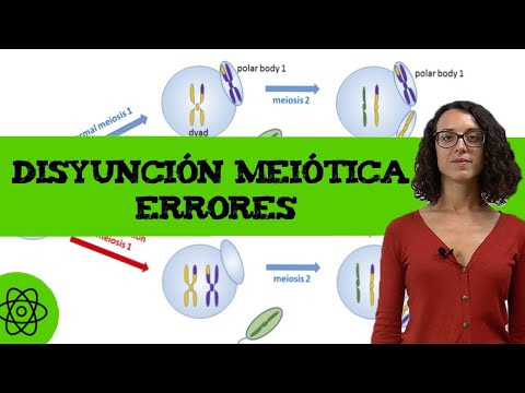 Video: ¿Durante la meiosis puede ocurrir la no disyunción?