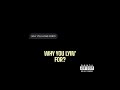 WHY YOU LYING FOR Lyrics