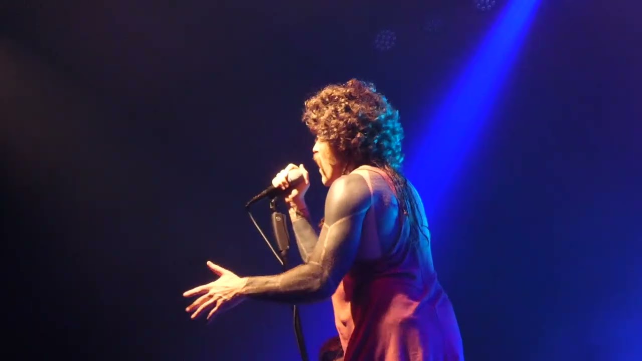 This Celluloid Dream - AFI Live 12/10/25 Wallingford CT