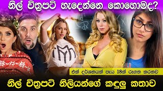 How to make a porn video Sinhala. Porn stars life secrets