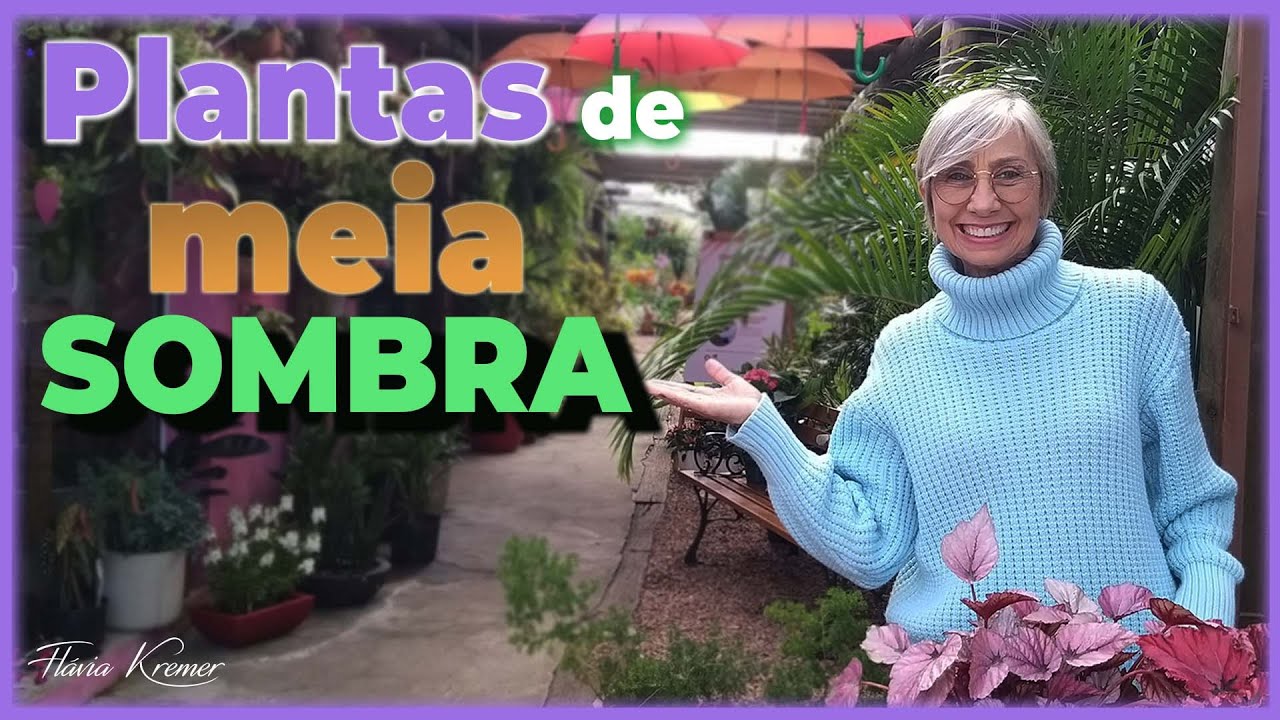 Plantas de meia sombra | Flávia Kremer - thptnganamst.edu.vn