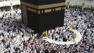 سورة القلم بصوت الشيخ محمد الفقيه بدون اعلانات