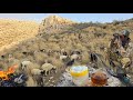 👳♂️ Nomadic man in the heart of wild nature | Taking sheep to a mountain pasture🐑