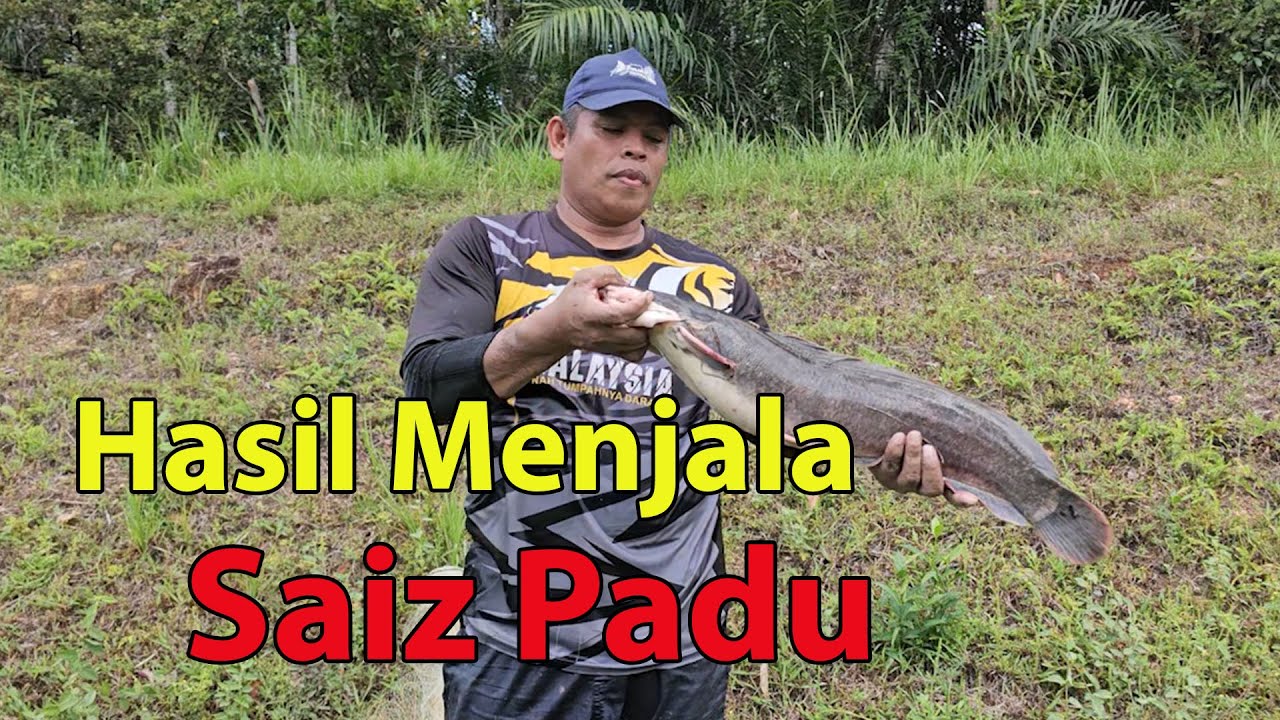 Layan Menjala Tak Sangka Ada Keli Besar Kat Sini