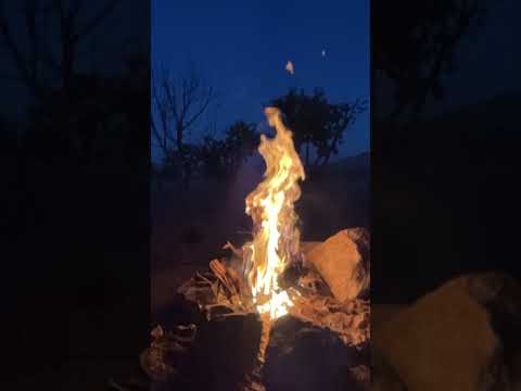 وعادت أمية بفرسانها