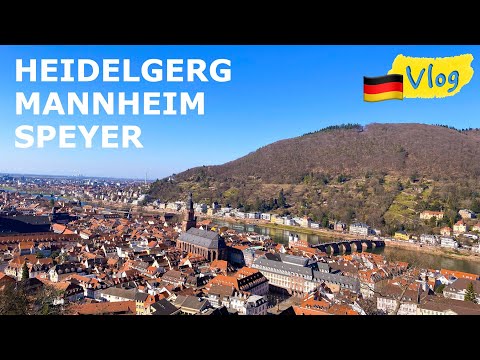 德國 🇩🇪 Travel Vlog｜海德堡城堡🏰  曼海姆宮⛪️  施派爾教堂🏛