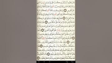 ماهر المعيقلي سورة هود مكتوبة صفحة 229 مصحف المدينة المنورة جودة عالية