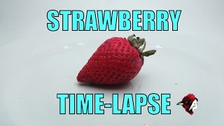 Strawberry time-lapse, 1 week - Biodiversity Shorts #12