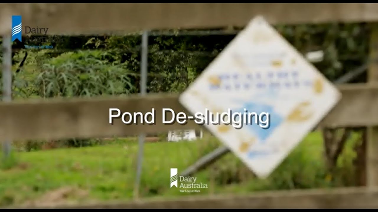 De-sludging pond's on dairy farms