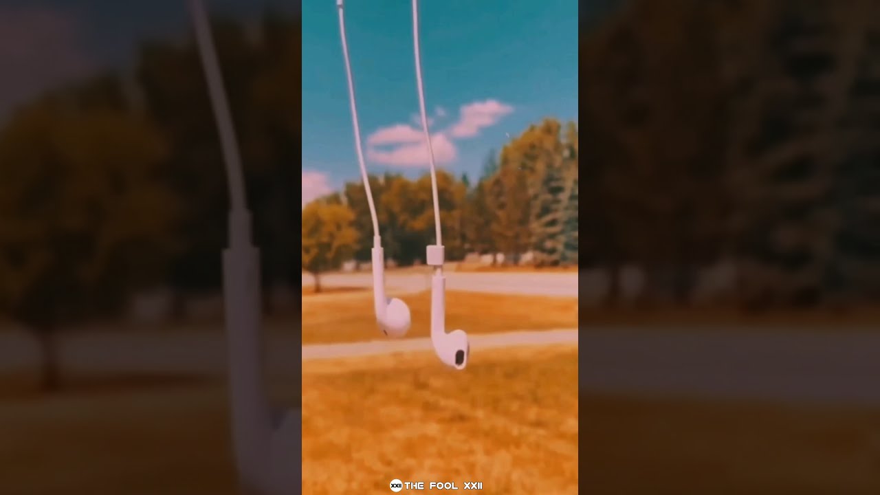 ZAYN - Dusk Till Down 