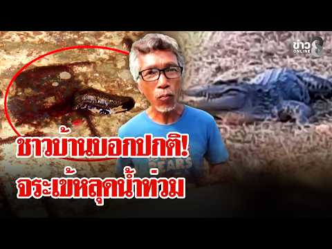 Horrifying! Leeches swarm and draw blood, misery of flooding leaves bodies waiting for cremation ...