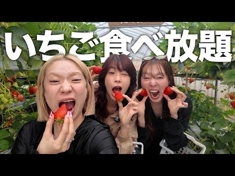 A fantastic day where I rented out a strawberry greenhouse with my
