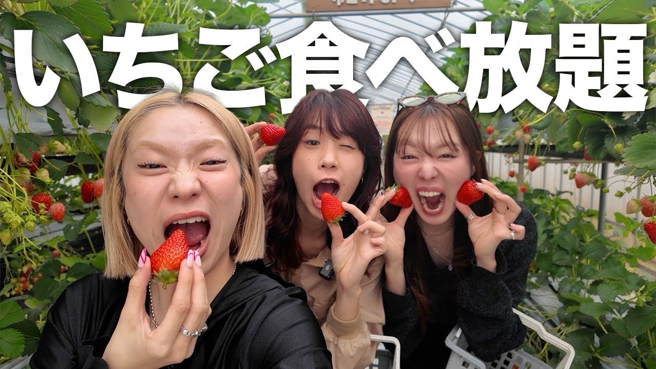 A fantastic day where I rented out a strawberry greenhouse with my
