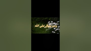 📖 تلاوة هادئة من سورة الطلاق | بصوت الشيخ محمود البنا  #قرآن  #تلاوة_خاشعة  #الشيخ_محمود_البنا