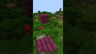 Minecraft: Send This To Someone Special! #Shorts