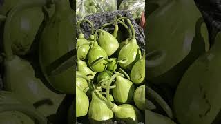 #farming #vegetable चैनल कोसब्सक्राइब करें सब्जी मंडी की अपडेट
