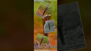 New Goga Maharaj  Status 2022 🙏🏻🚩 Gujrati New Status 2022   #jay_goga_maharaj_status #mrofficial screenshot 4