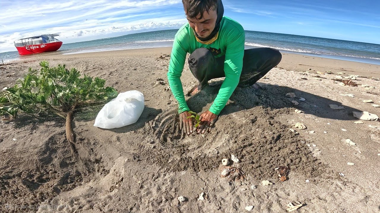 ESTA FORMANDO UMA ILHA NO MEIO DO OCEANO PLAMTEI UMA ÁRVORE NELA! acampamento e pescaria!