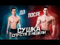 СУШКА К ЛЕТУ | ВТОРОЙ ЦИКЛ | МЕНЯЕМ РАЦИОН ПИТАНИЯ