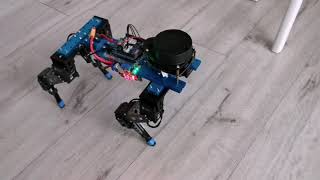 Robot dog walking - quadruped motion test Wealth