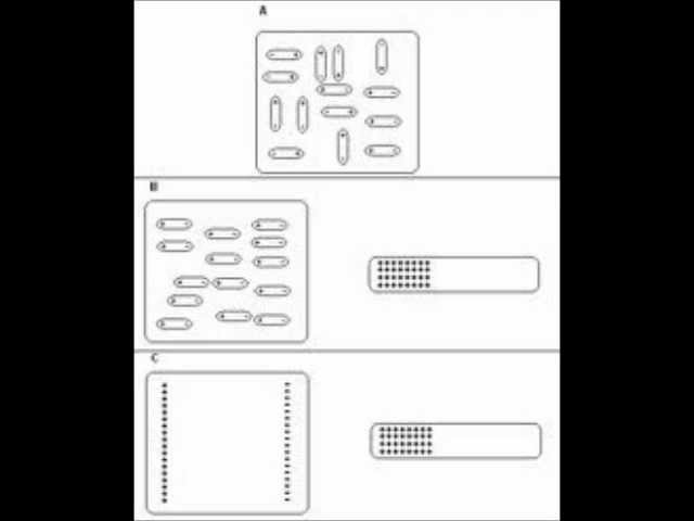 Polarización eléctrica - YouTube